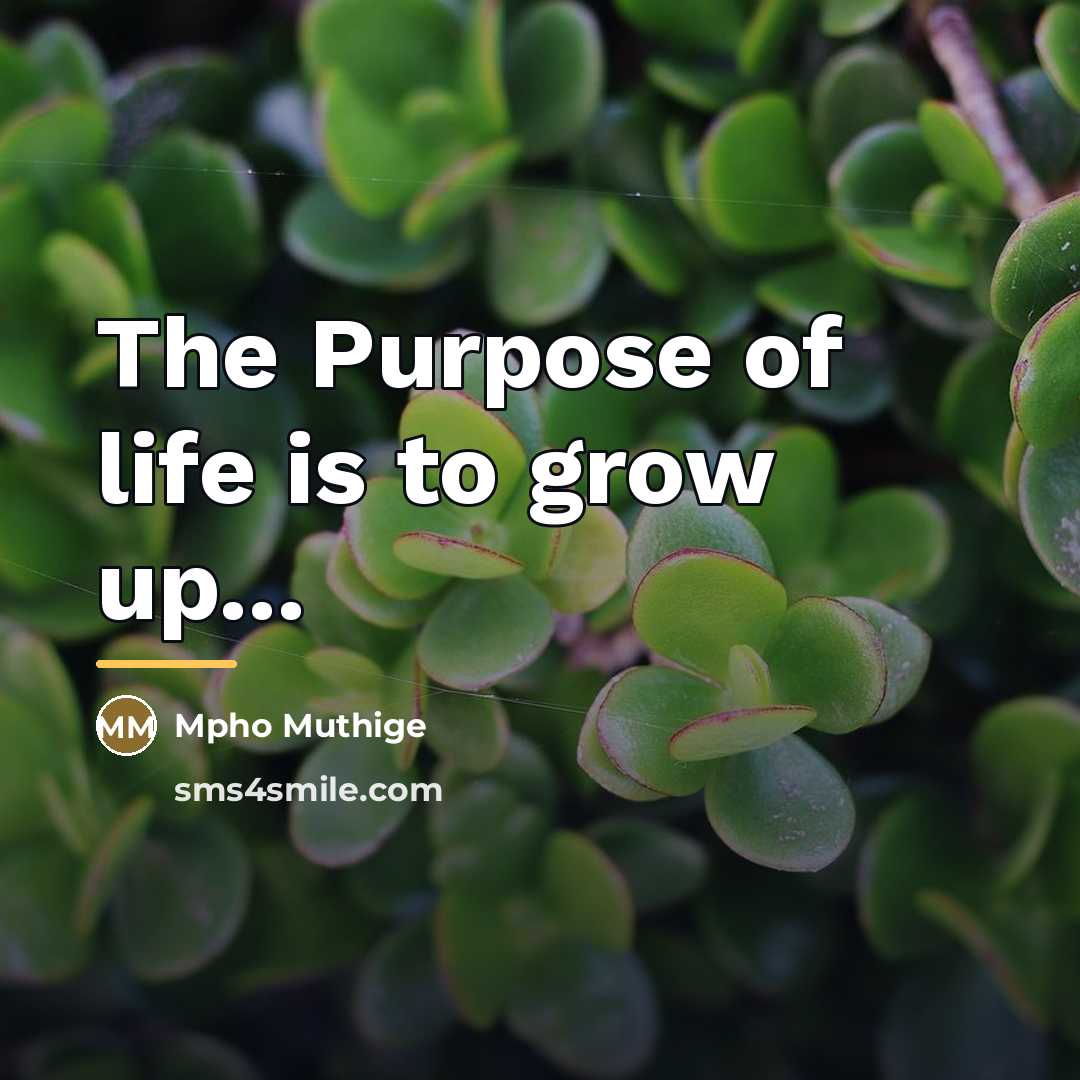 “The Purpose of life is to grow up...…” quote by Mpho Muthige