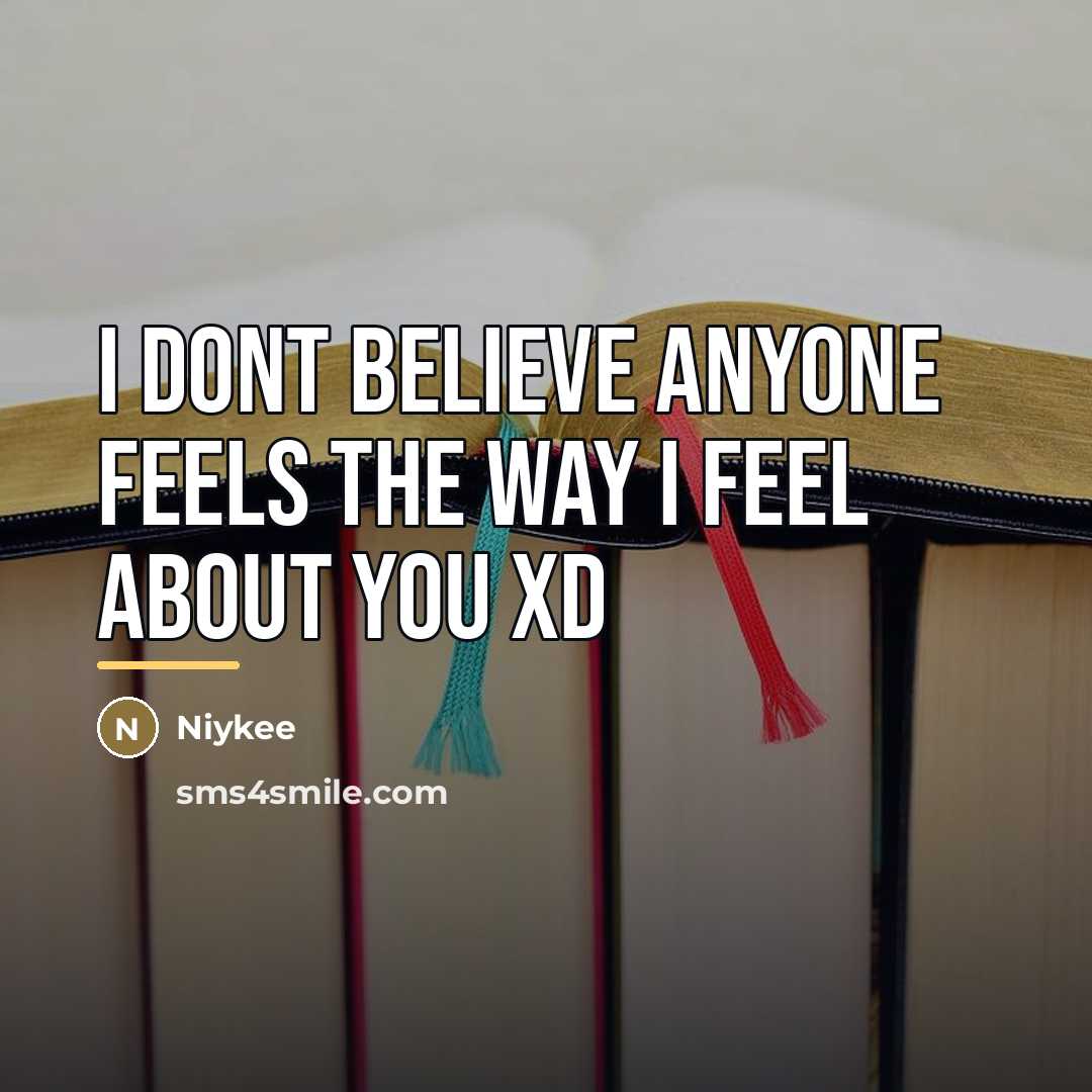 “I Dont Believe Anyone Feels The Way I Feel About…” quote by Niykee