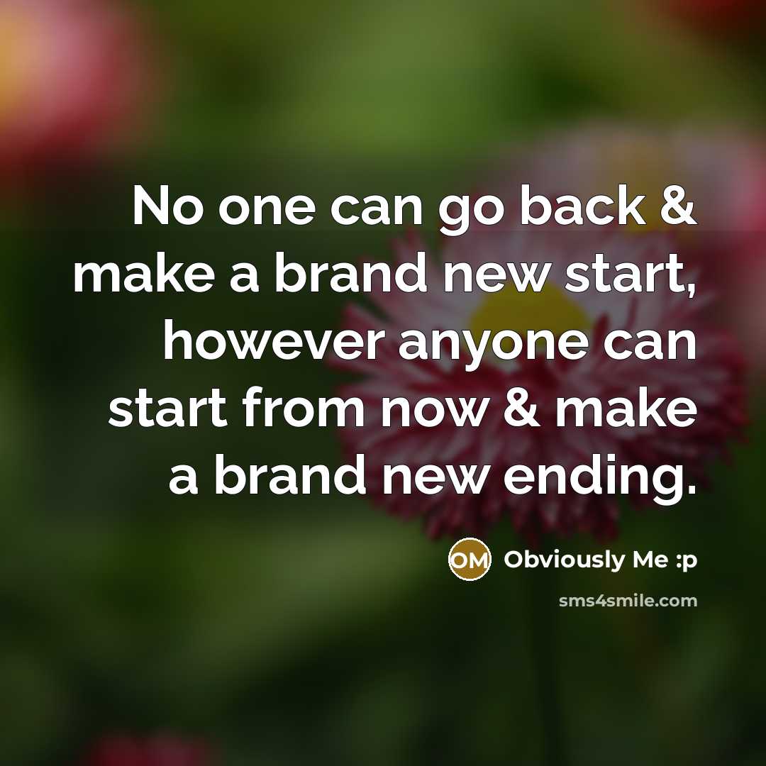 “No one can go back & make a brand new…” quote by Obviously Me :p