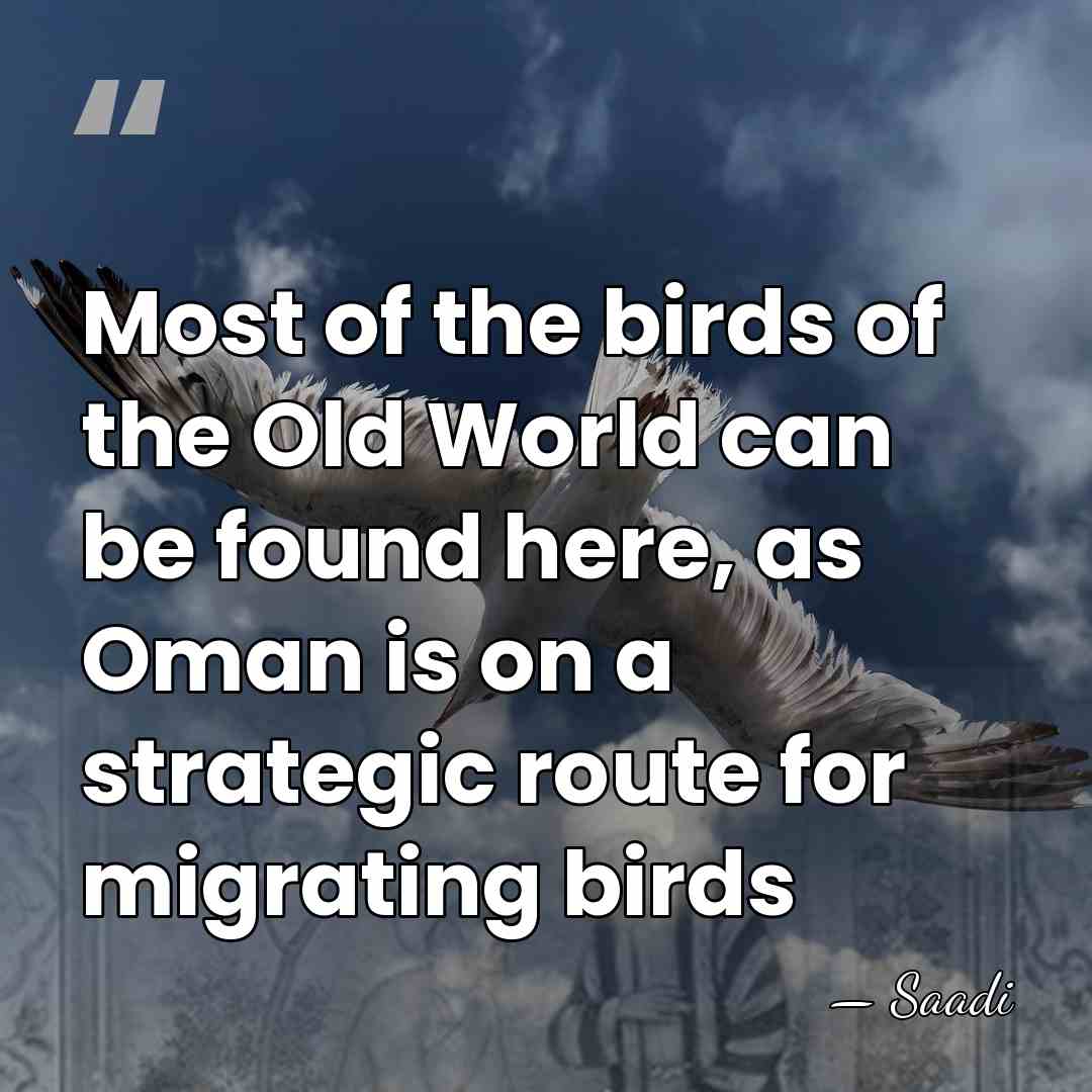 Most of the birds of the Old World can be found here,&hellip; - Saadi