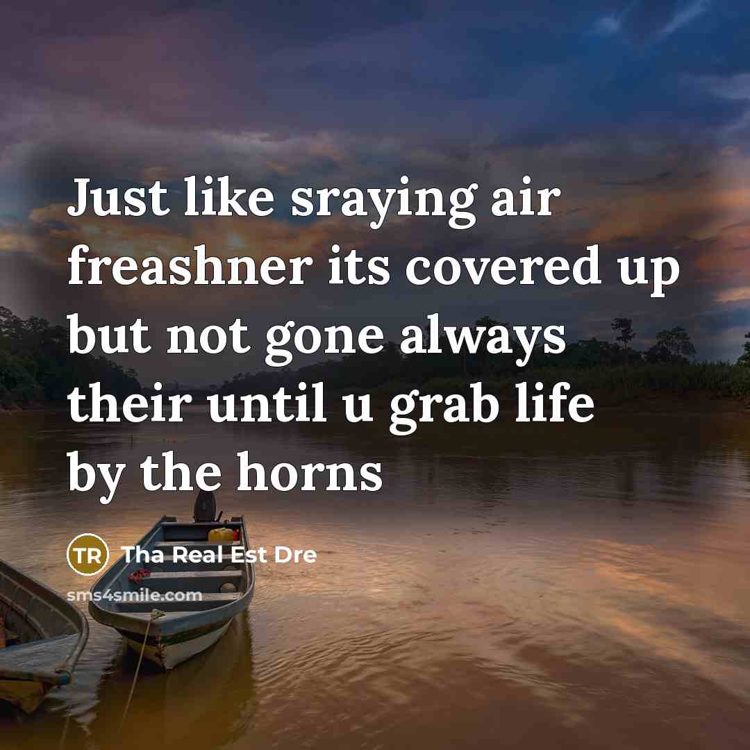 “Just like sraying air freashner its covered up but not gone always their until u grab life by the horns” quote by Tha Real Est Dre