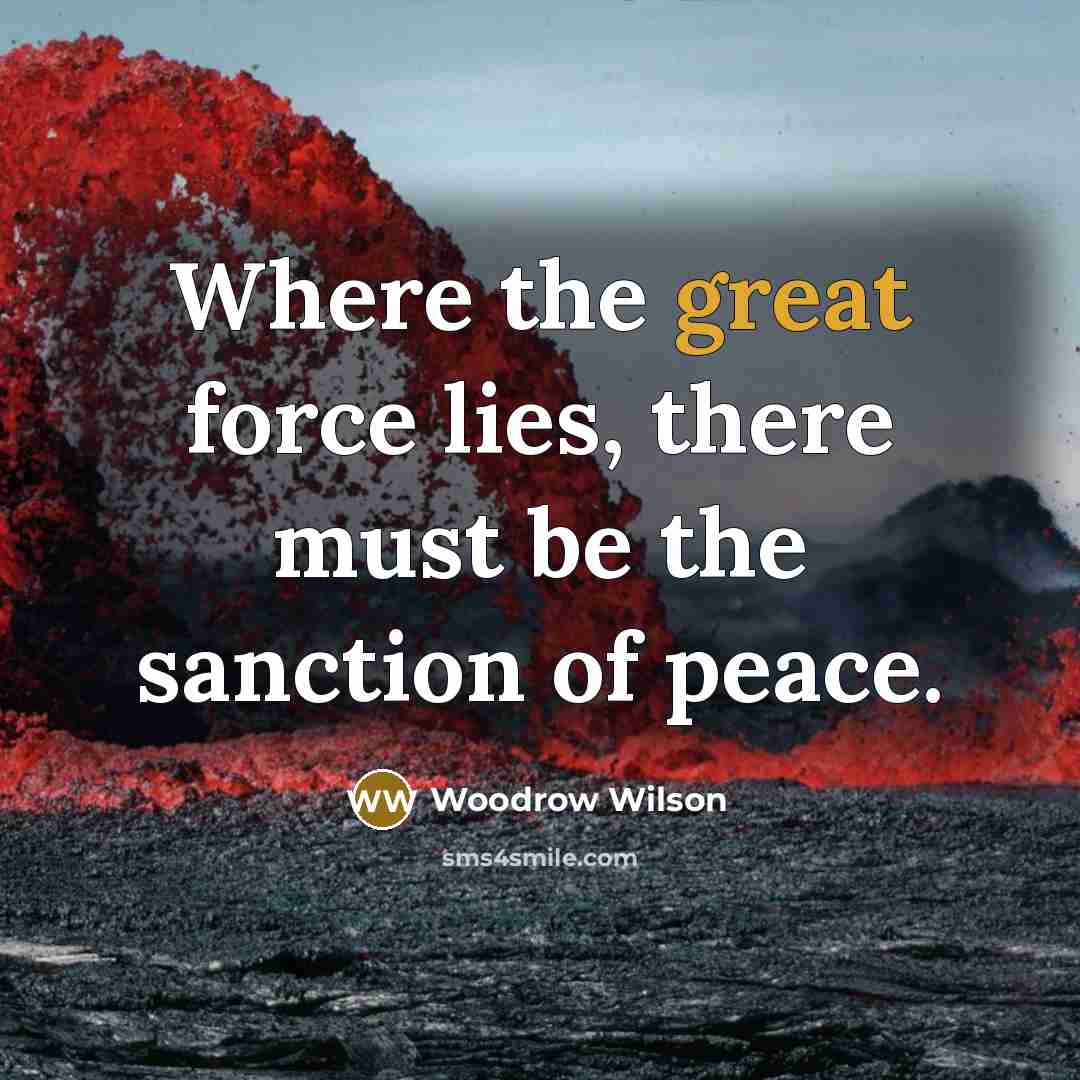 “Where the great force lies, there must be the sanction…” quote by Woodrow Wilson