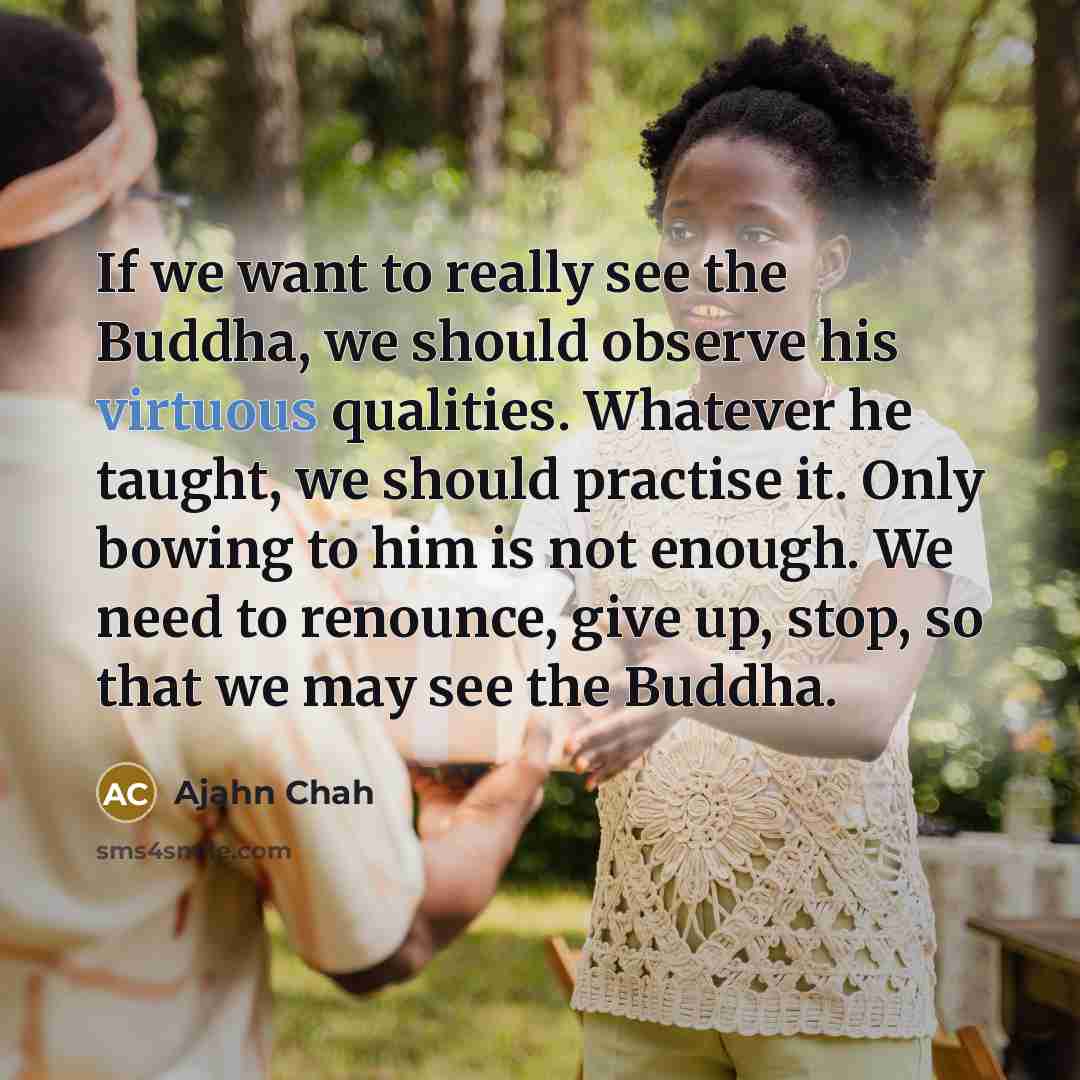“If we want to really see the Buddha, we should…” quote by Ajahn Chah