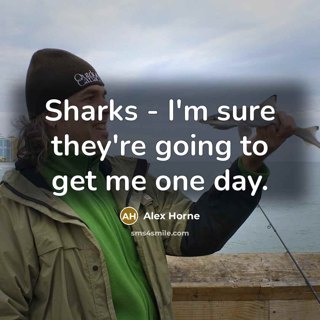“Sharks - I'm sure they're going to get me one…” quote by Alex Horne