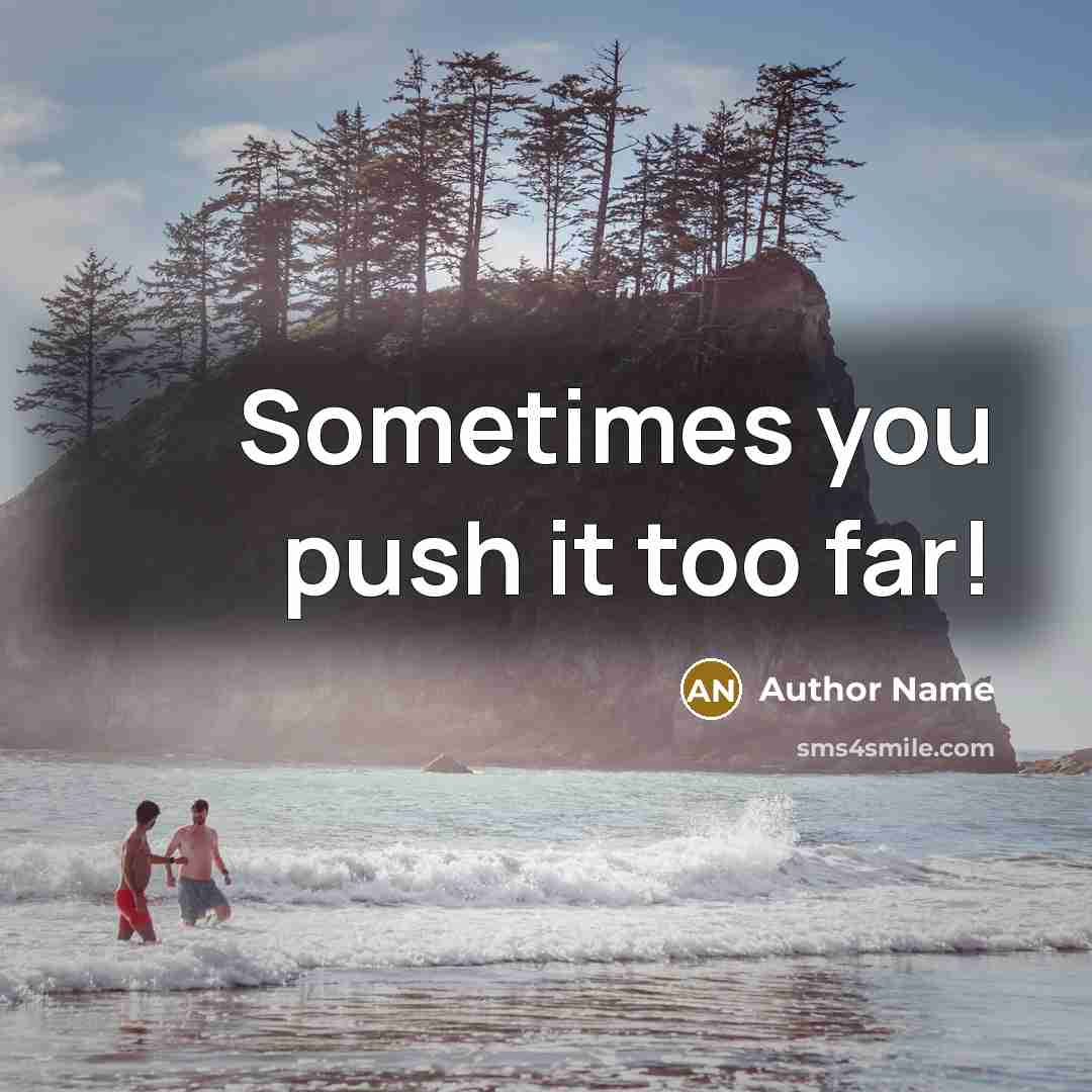“Sometimes you push it too far!” quote by Author Name