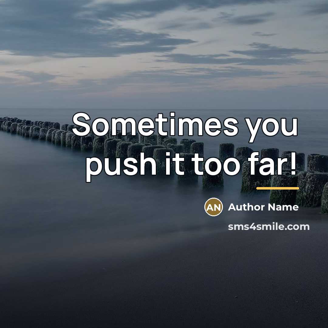 “Sometimes you push it too far!…” quote by Author Name