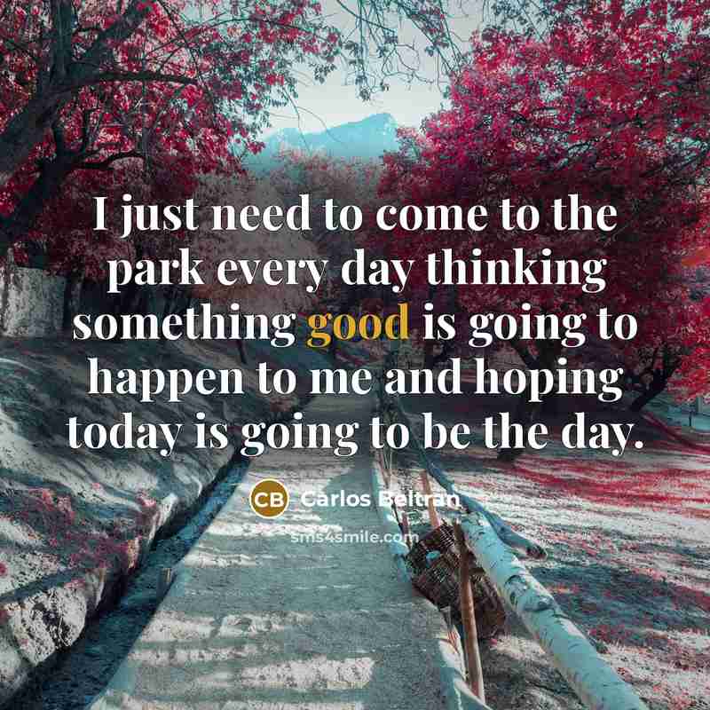“I just need to come to the park every day…” quote by Carlos Beltran
