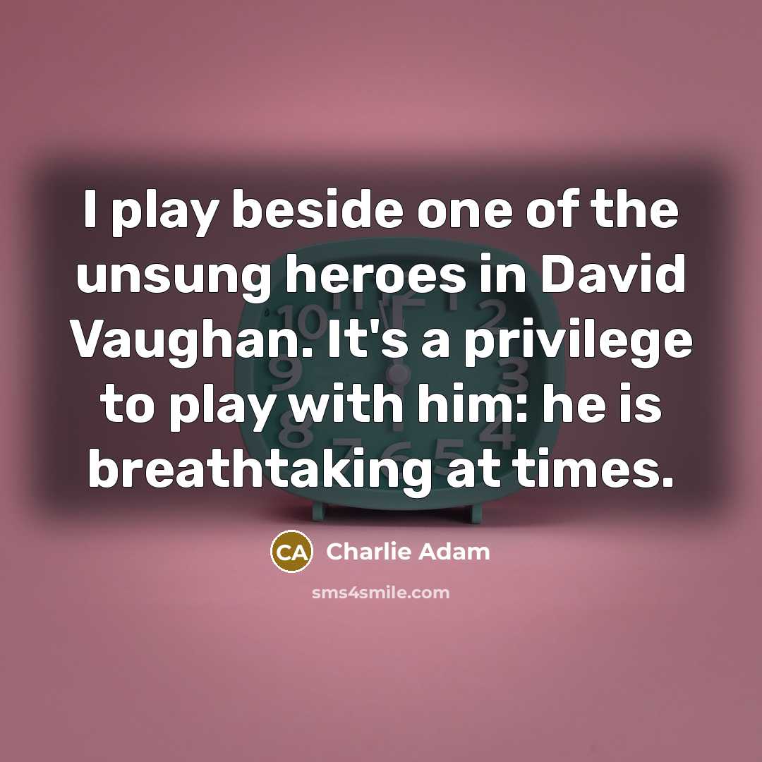 “I play beside one of the unsung heroes in David…” quote by Charlie Adam
