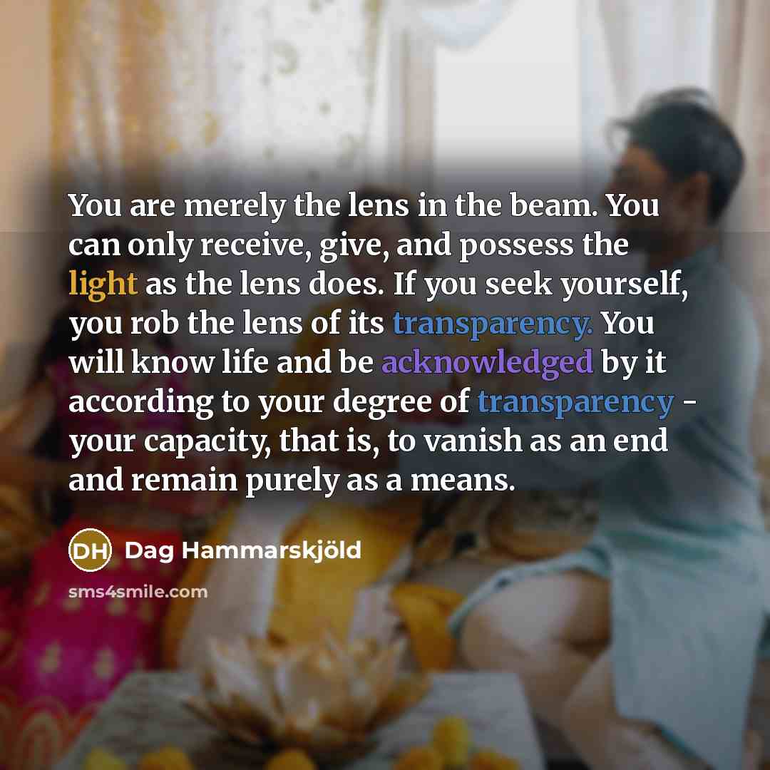“You are merely the lens in the beam. You can…” quote by Dag Hammarskjold