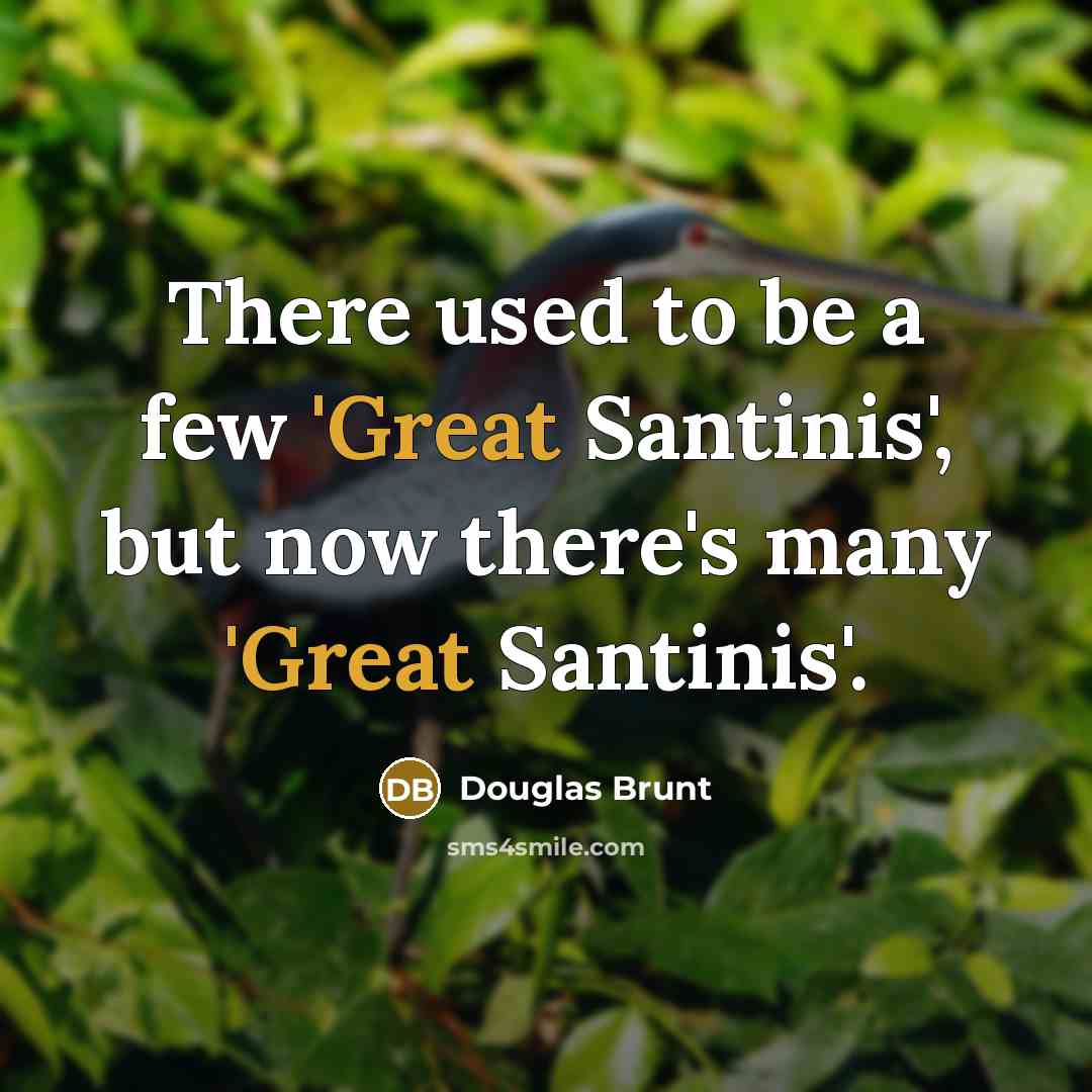 “There used to be a few 'Great Santinis', but now…” quote by Douglas Brunt