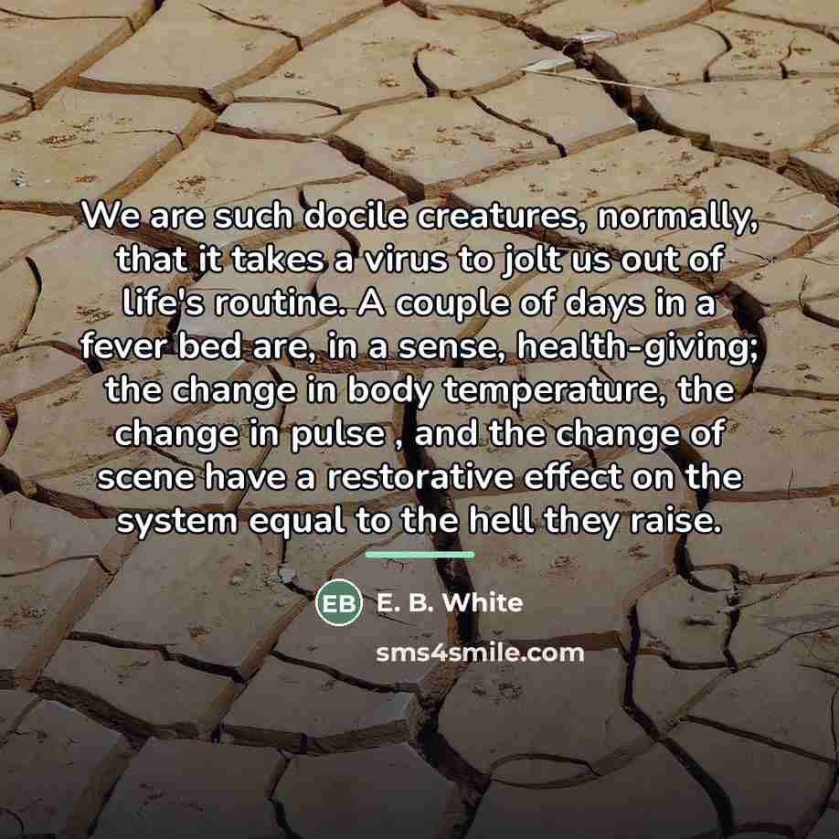 “We are such docile creatures, normally, that it takes a…” quote by E. B. White