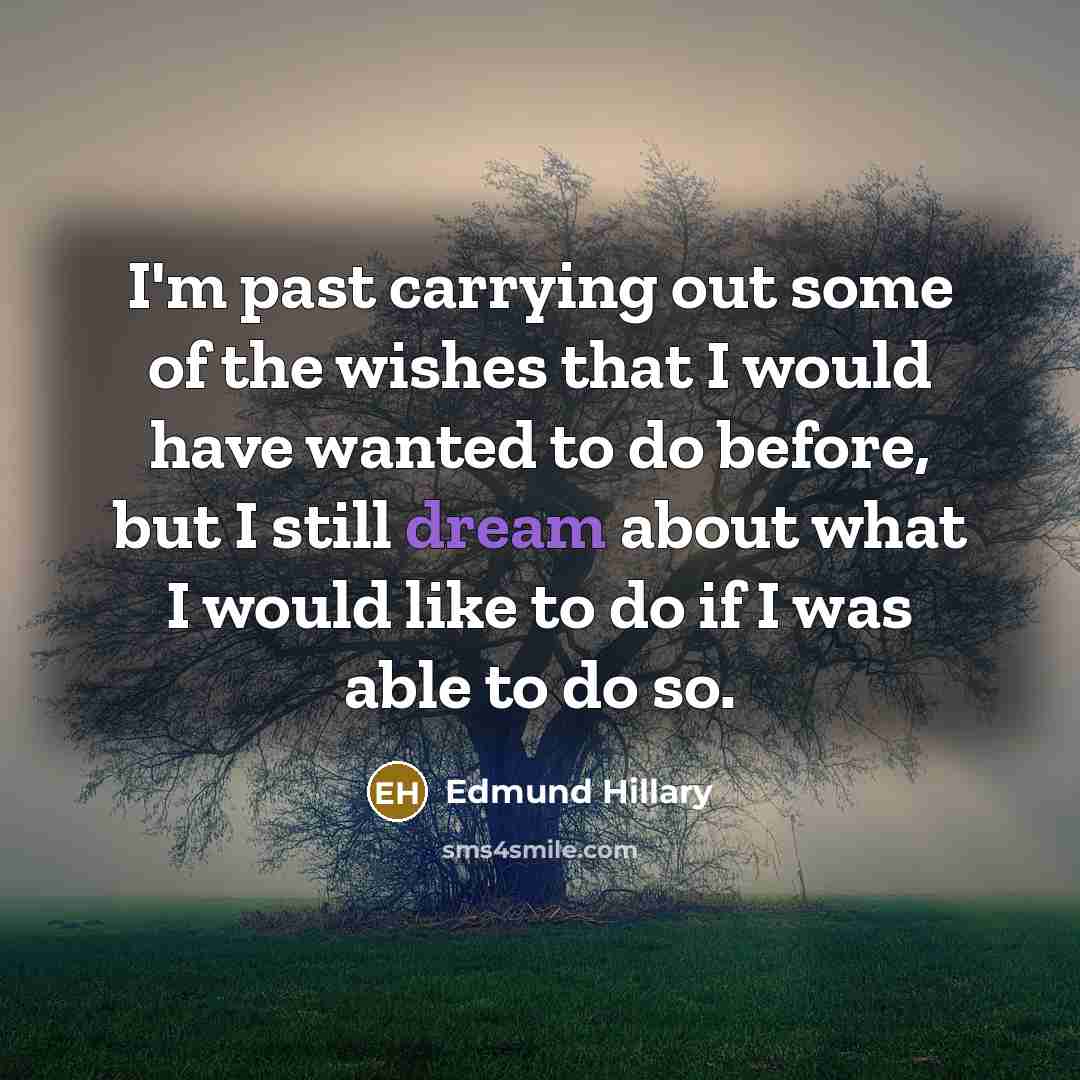 “I'm past carrying out some of the wishes that I…” quote by Edmund Hillary