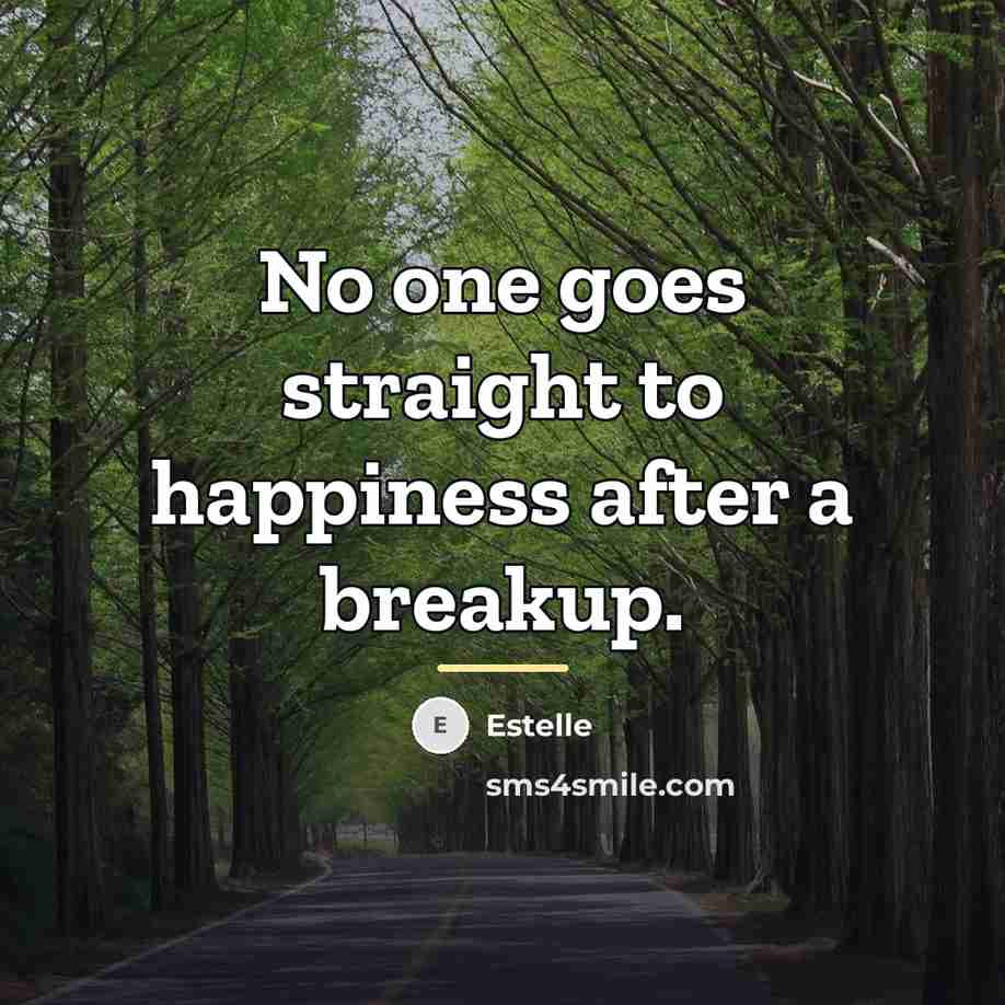 “No one goes straight to happiness after a breakup.…” quote by Estelle