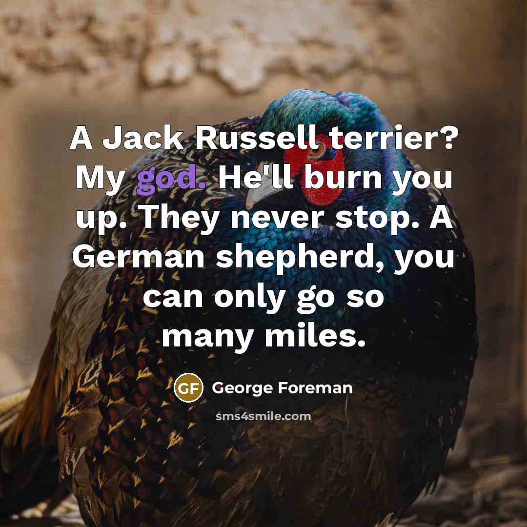 “A Jack Russell terrier? My god. He'll burn you up. They never stop. A German shepherd, you can only go so many miles.” quote by George Foreman