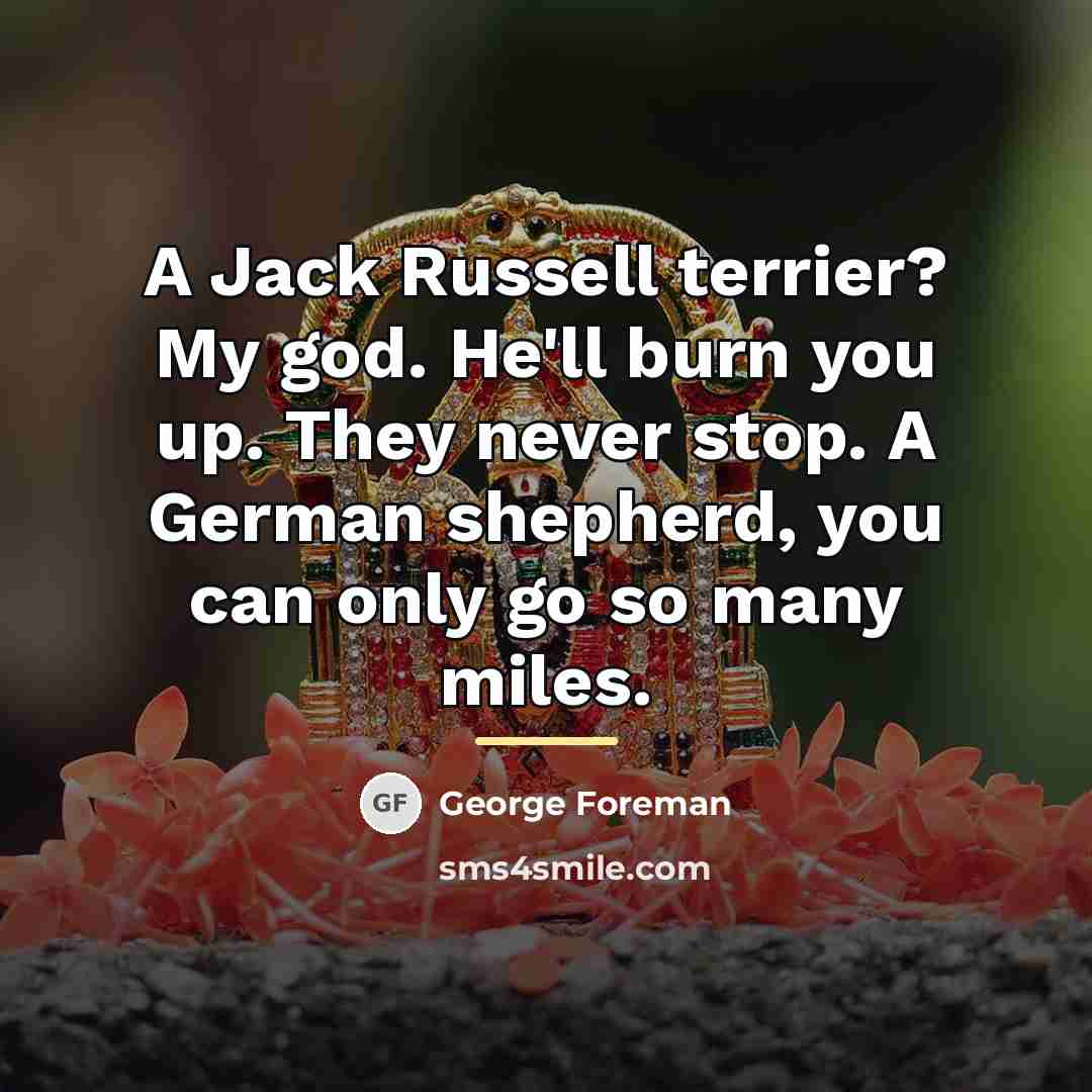 “A Jack Russell terrier? My god. He'll burn you up.…” quote by George Foreman