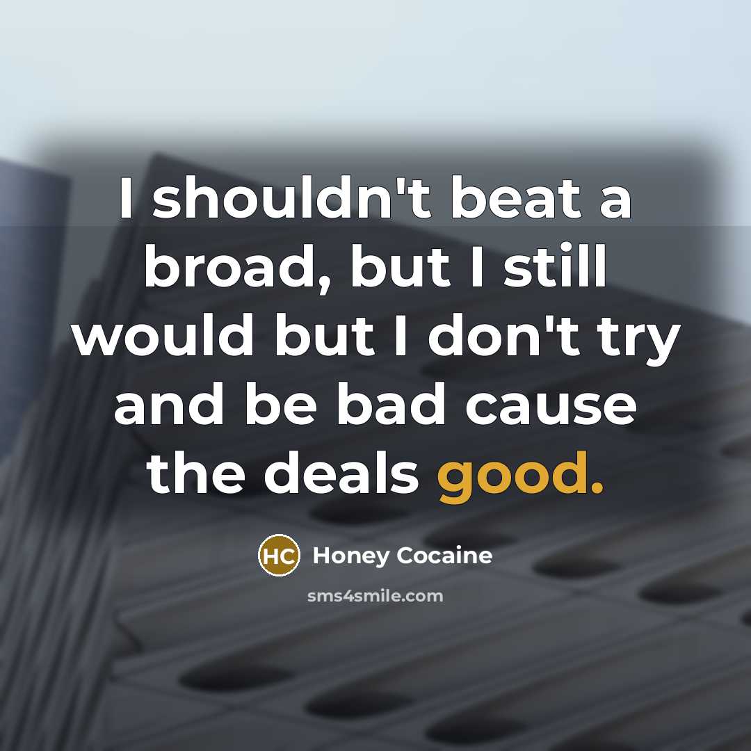 “I shouldn't beat a broad, but I still would but…” quote by Honey Cocaine
