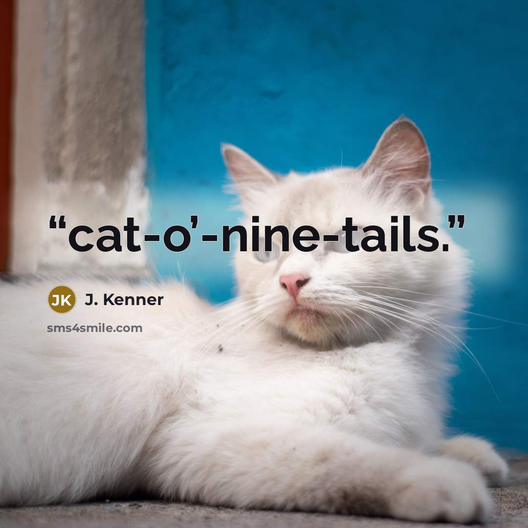 “cat-o’-nine-tails.” quote by J. Kenner