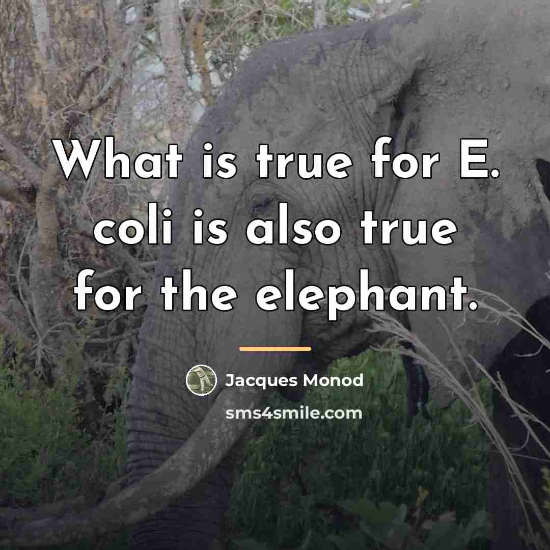 “What is true for E. coli is also true for…” quote by Jacques Monod