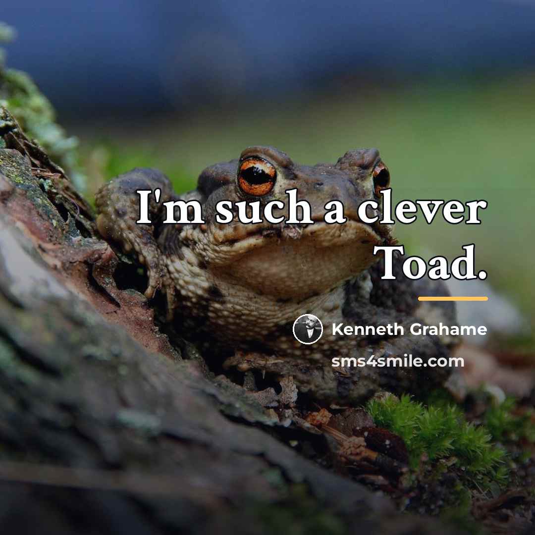 “I'm such a clever Toad.…” quote by Kenneth Grahame
