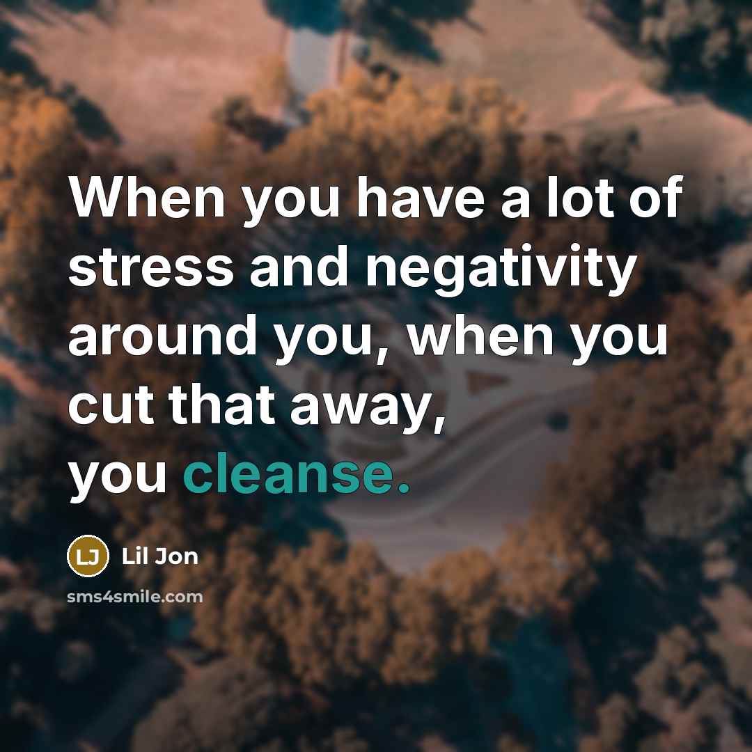 “When you have a lot of stress and negativity around…” quote by Lil Jon