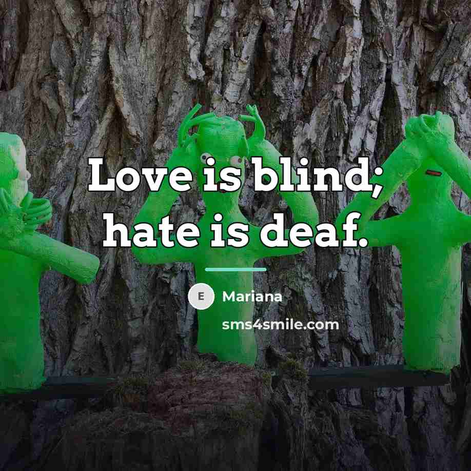“Love is blind; hate is deaf.…” quote by Mariana