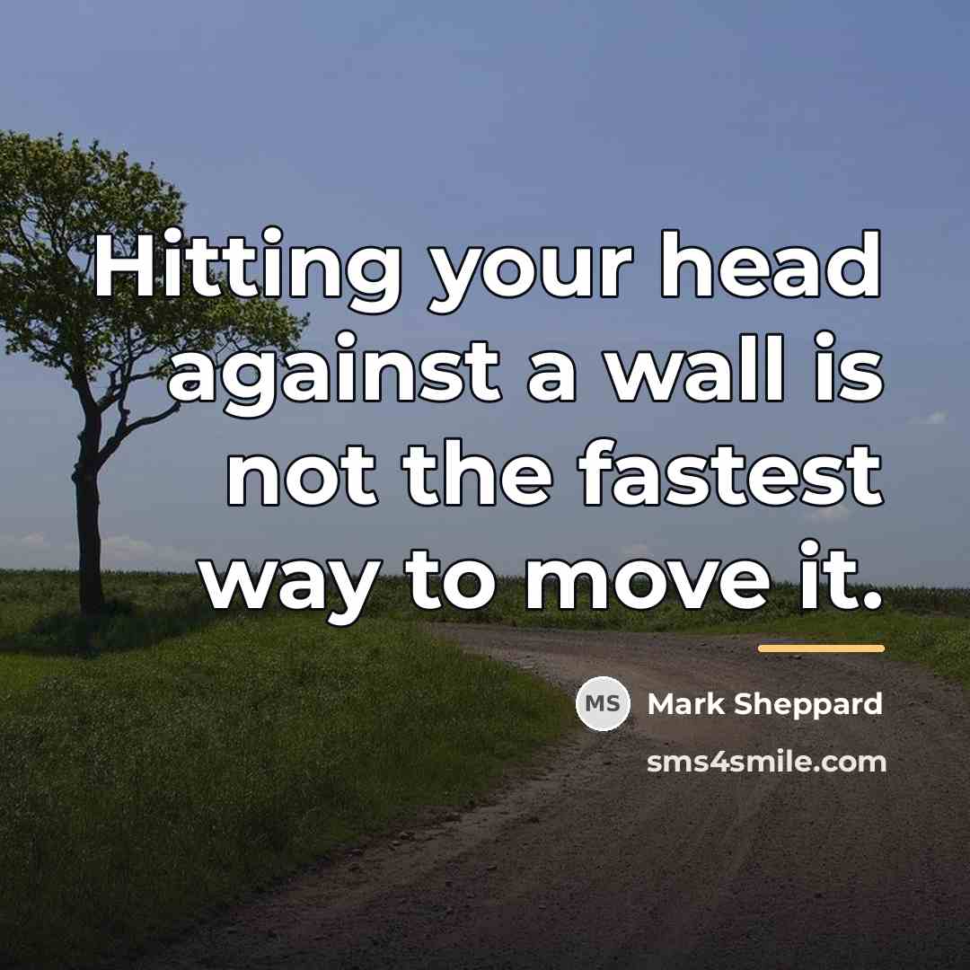 “Hitting your head against a wall is not the fastest…” quote by Mark Sheppard