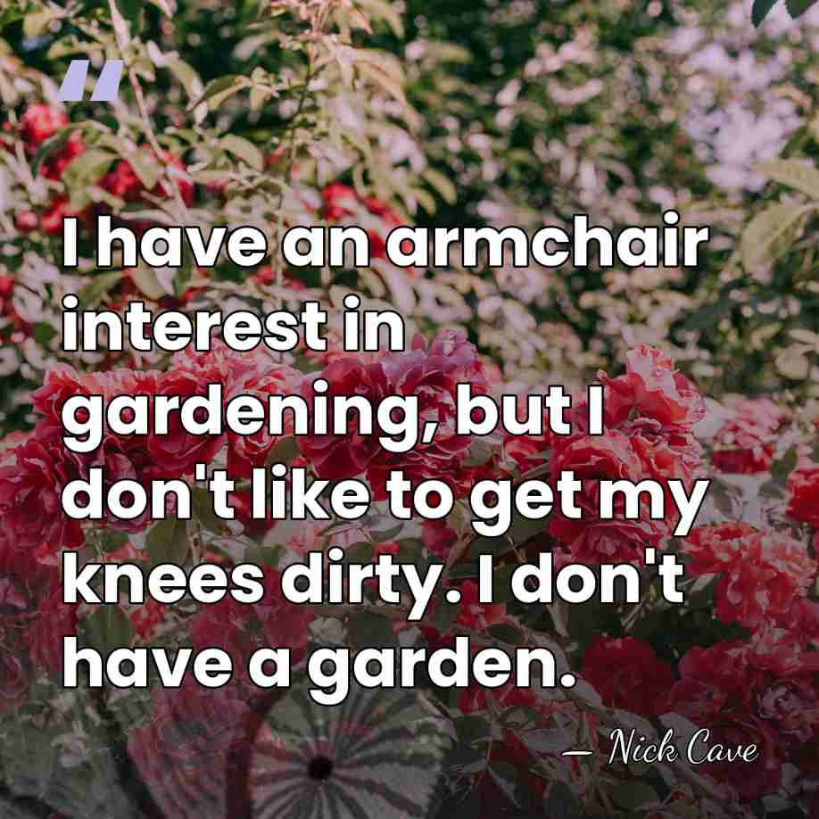 I have an armchair interest in gardening, but I don't like to&hellip; - Nick Cave