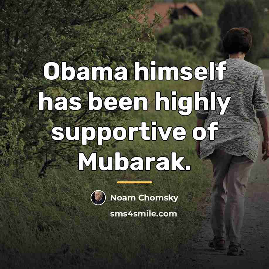 “Obama himself has been highly supportive of Mubarak.…” quote by Noam Chomsky