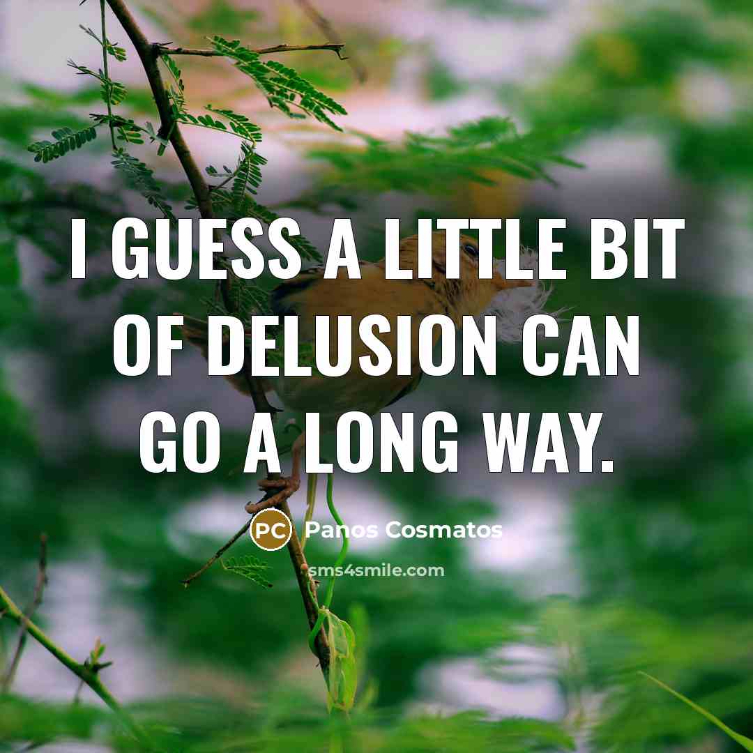 “I guess a little bit of delusion can go a…” quote by Panos Cosmatos