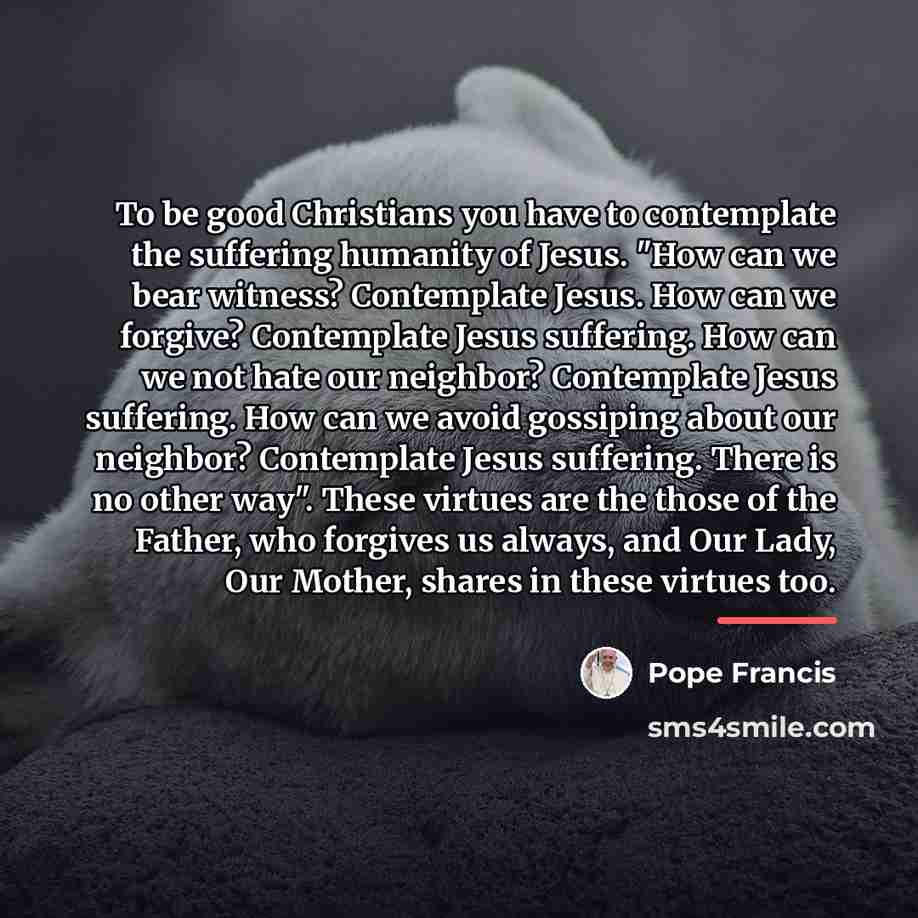 “To be good Christians you have to contemplate the suffering…” quote by Pope Francis