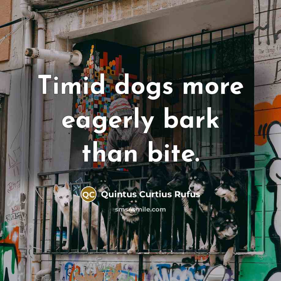 “Timid dogs more eagerly bark than bite.…” quote by Quintus Curtius Rufus