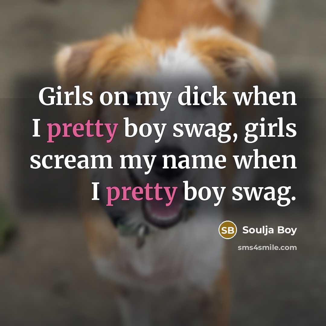 “Girls on my dick when I pretty boy swag, girls scream my name when I pretty boy swag.” quote by Soulja Boy
