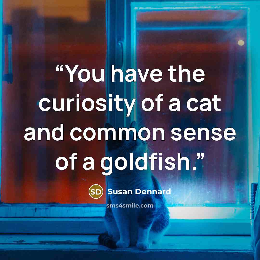 “You have the curiosity of a cat and common sense of a goldfish.” quote by Susan Dennard