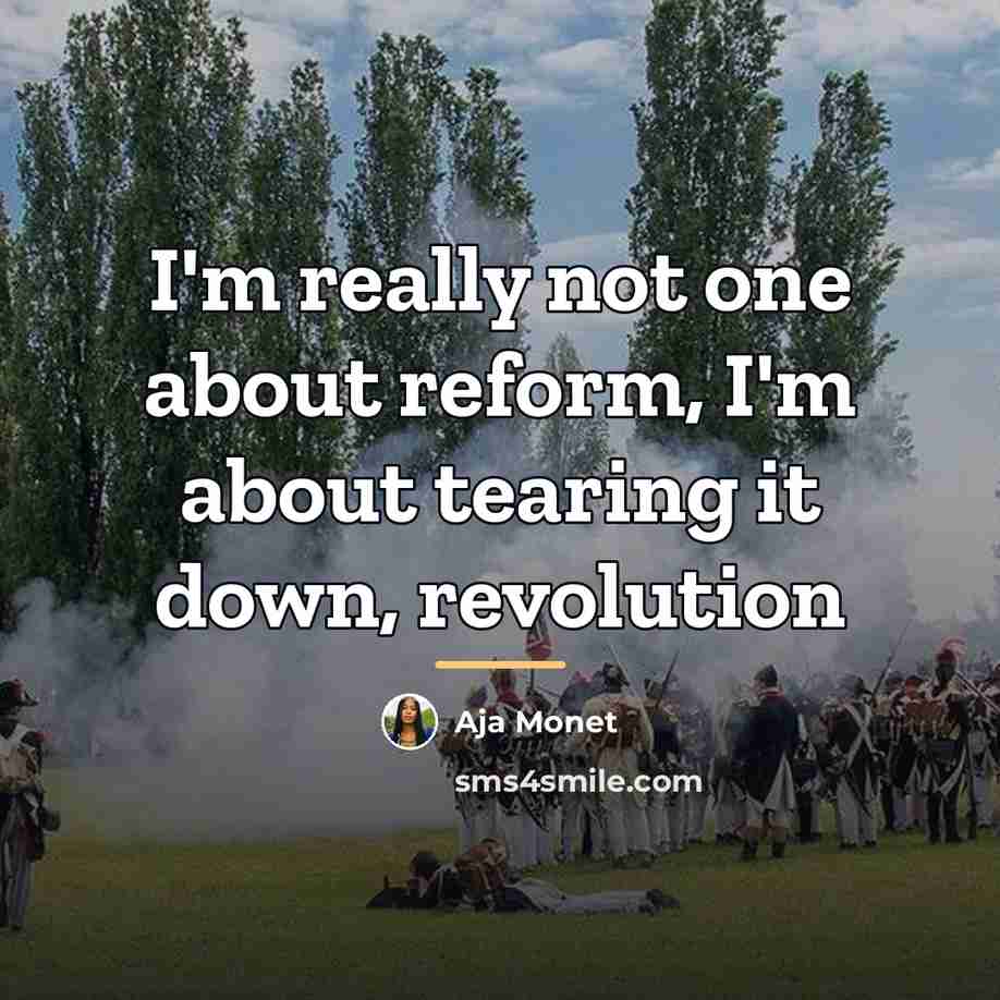 “I'm really not one about reform, I'm about tearing it…” quote by Aja Monet