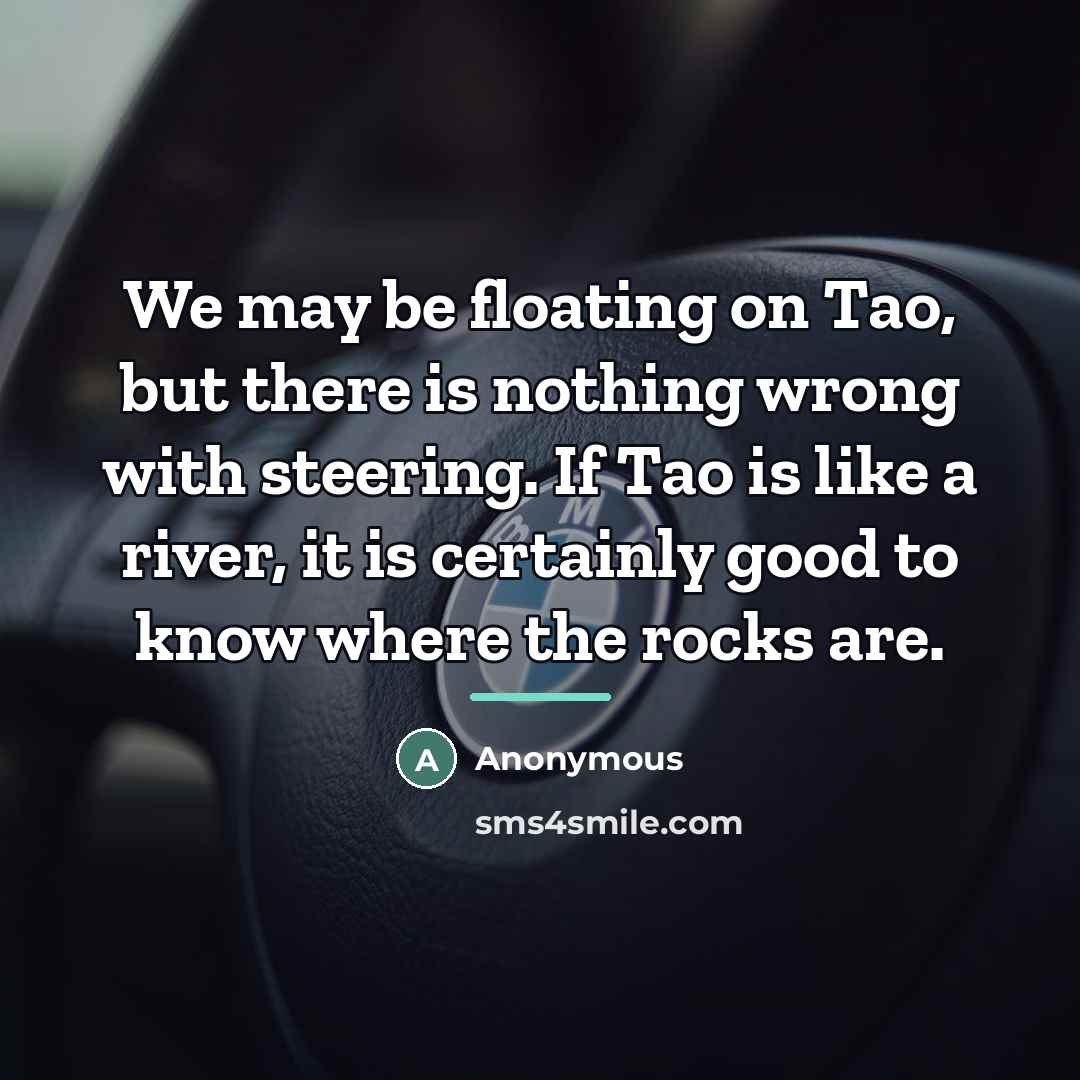 “We may be floating on Tao, but there is nothing…” quote by Anonymous