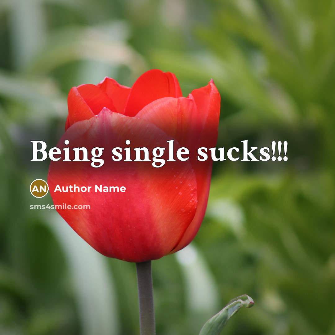 “Being single sucks!!!” quote by Author Name