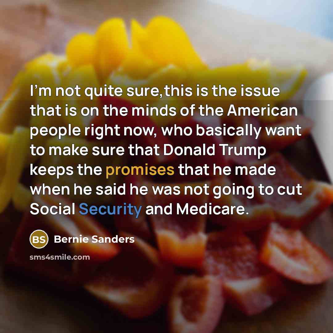 “I'm not quite sure,this is the issue that is on…” quote by Bernie Sanders
