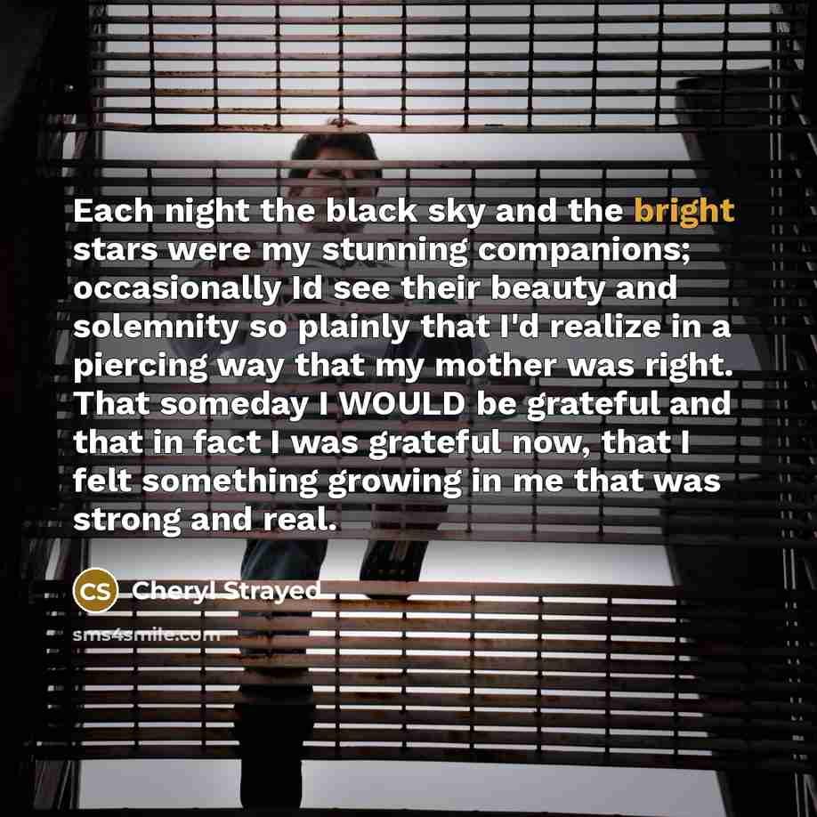 “Each night the black sky and the bright stars were…” quote by Cheryl Strayed