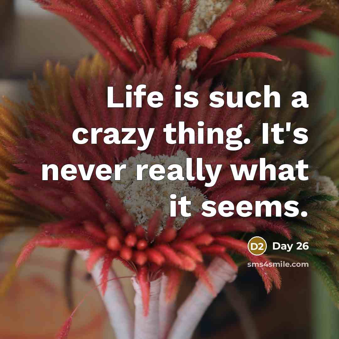 “Life is such a crazy thing. It's never really what it seems.” quote by Day 26