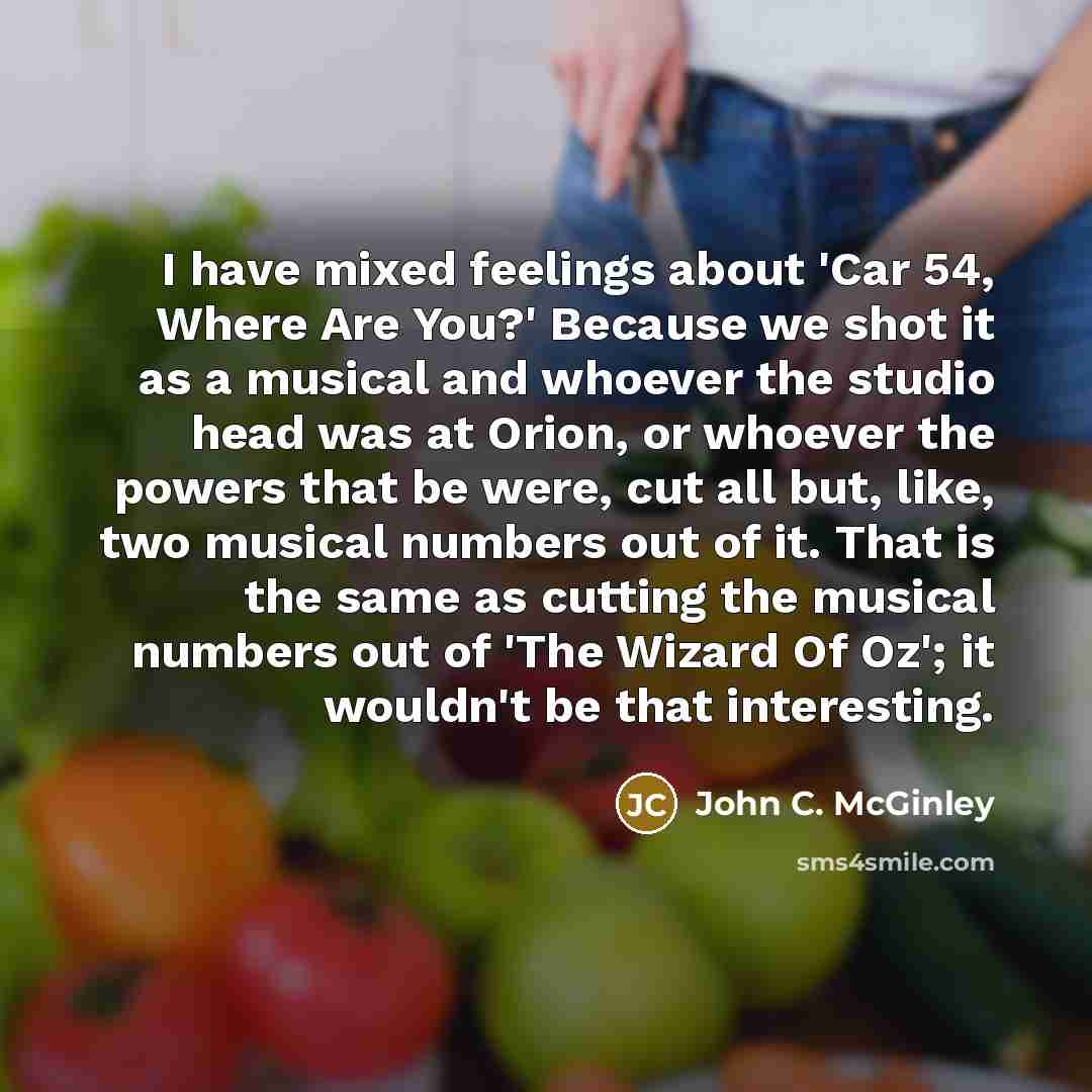 “I have mixed feelings about 'Car 54, Where Are You?'…” quote by John C. McGinley