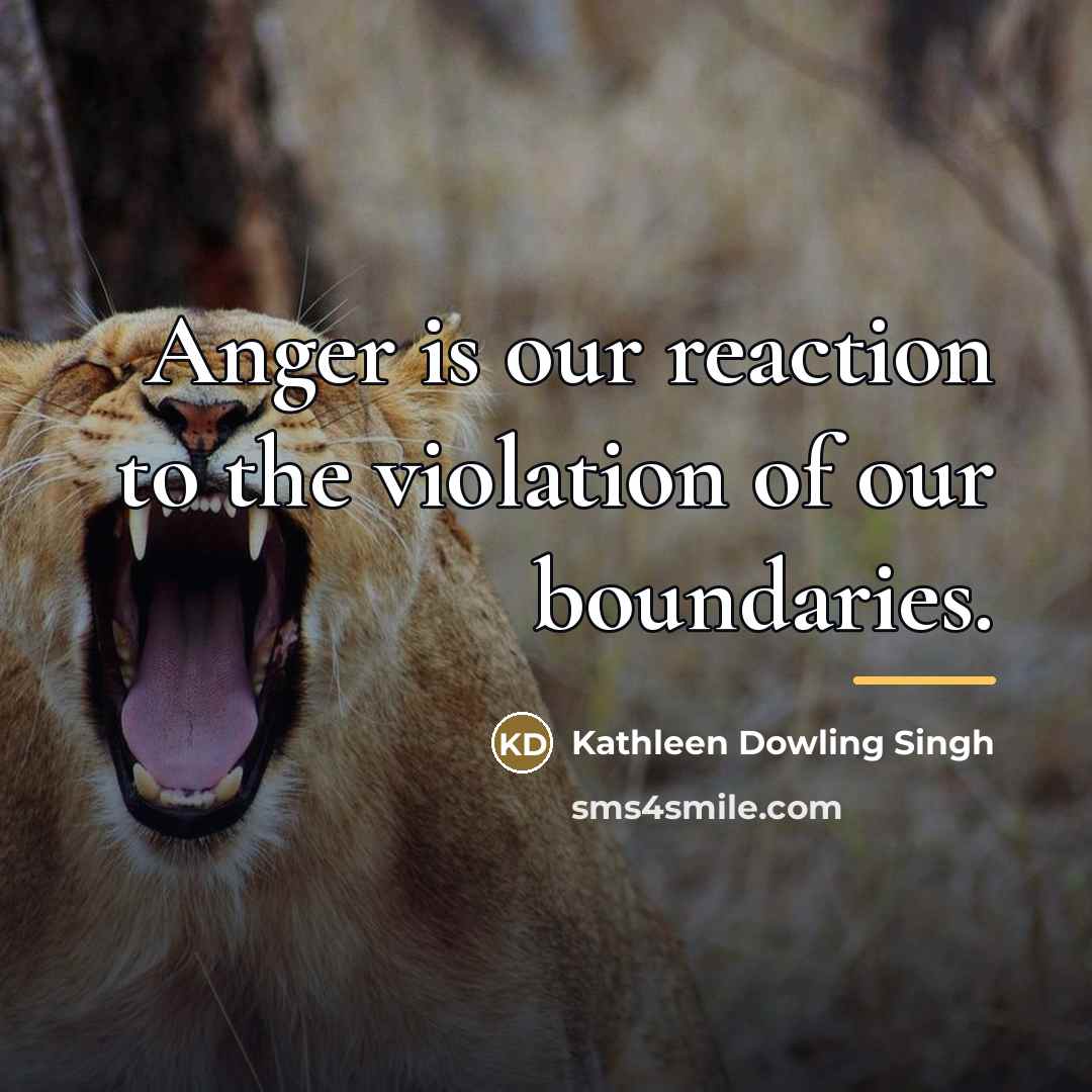 “Anger is our reaction to the violation of our boundaries.…” quote by Kathleen Dowling Singh