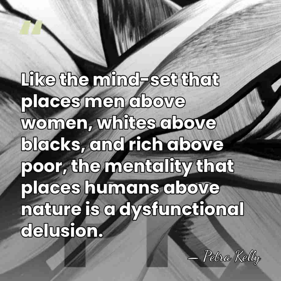 Like the mind-set that places men above women, whites above blacks, and&hellip; - Petra Kelly