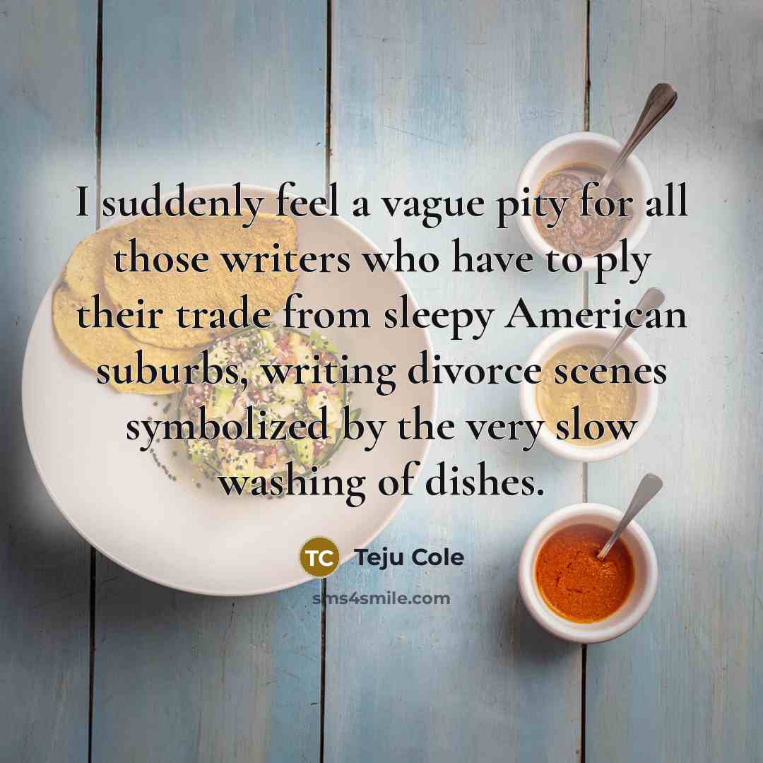 “I suddenly feel a vague pity for all those writers…” quote by Teju Cole