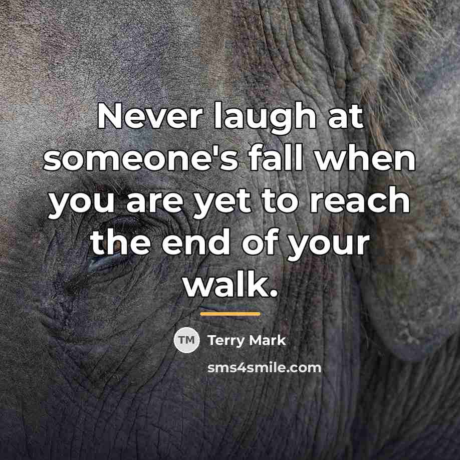 “Never laugh at someone's fall when you are yet to…” quote by Terry Mark