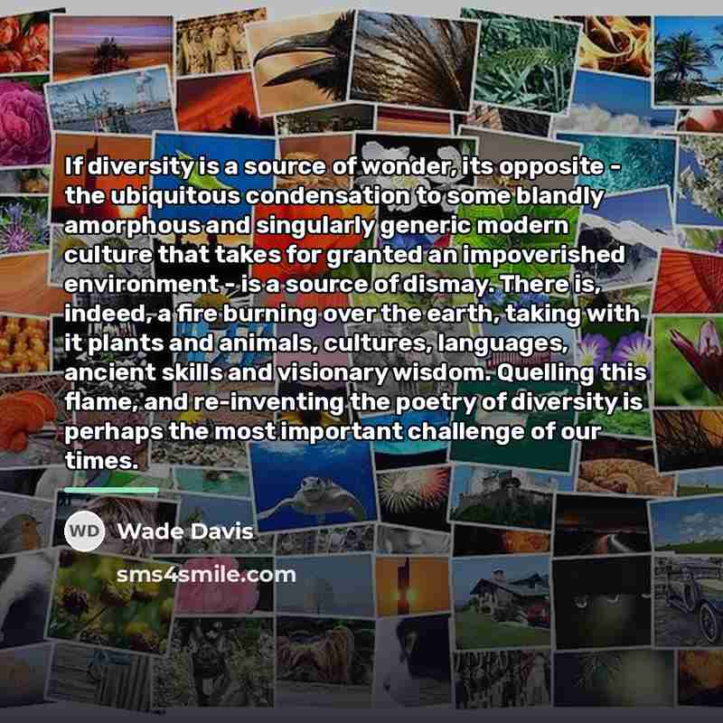 “If diversity is a source of wonder, its opposite -…” quote by Wade Davis