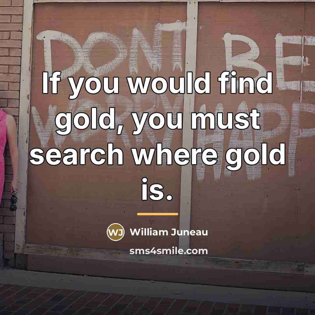 “If you would find gold, you must search where gold…” quote by William Juneau