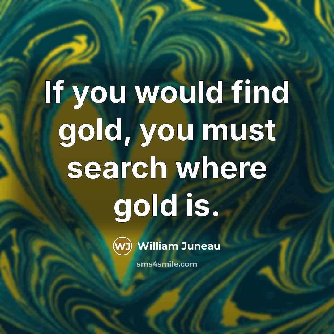“If you would find gold, you must search where gold is.” quote by William Juneau