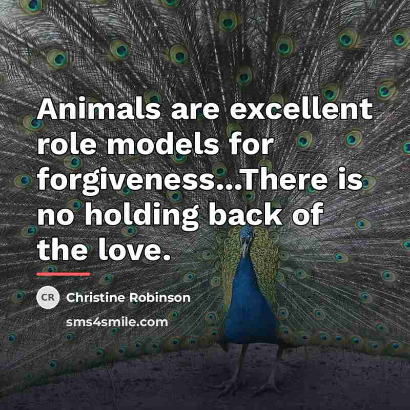 “Animals are excellent role models for forgiveness...There is no holding…” quote by Christine Robinson