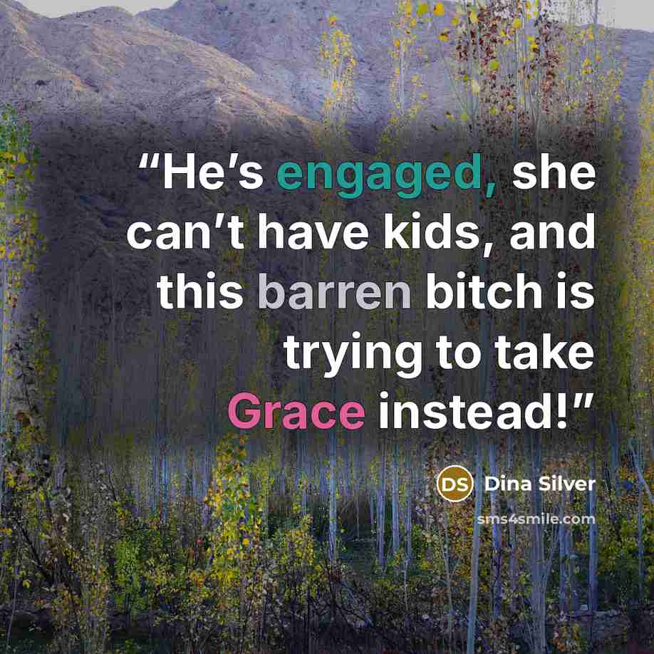 “He’s engaged, she can’t have kids, and this barren bitch is trying to take Grace instead!” quote by Dina Silver
