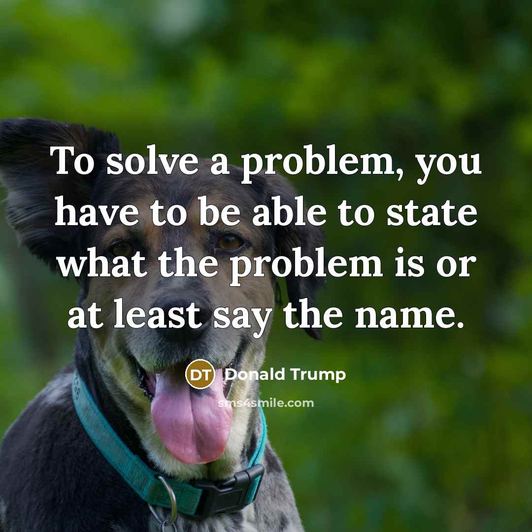 “To solve a problem, you have to be able to…” quote by Donald Trump